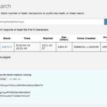 Litecoin Block Explorer