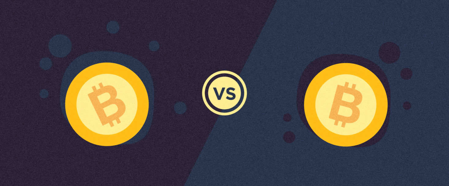 Bitcoin Btc Vs Bitcoin Cash Bch What S The Difference - 